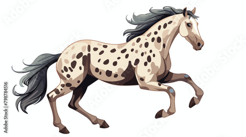 Appaloosa breed horse. Stallion galloping spotty eq