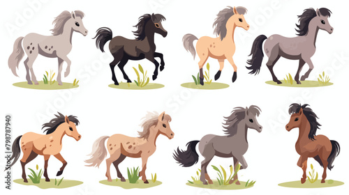 Cute ponies set. Foals small miniature horses breed