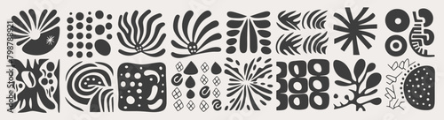 Set of abstract organic shapes. matisse style Cute naive modern vector flat illustration. Boho modern style. Bohemian collection of wavy and liquid shapes. black textures on white background photo