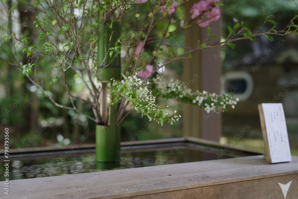 東京赤坂の氷川神社にある手水舎の生け花