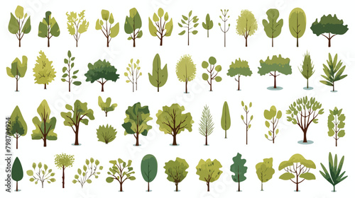 Deciduous trees set. Forest plants with green leaf