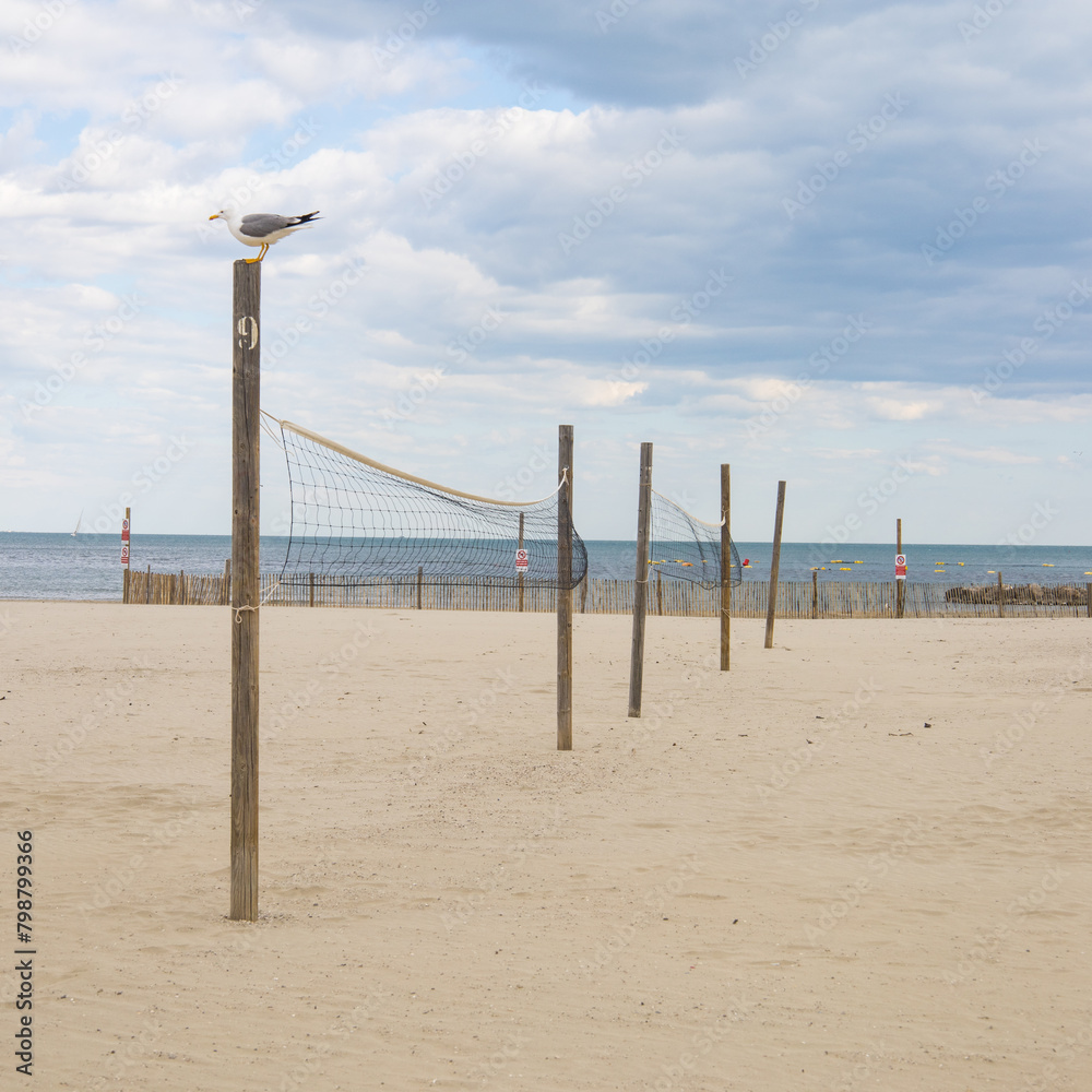 plage avec terrains de beach volley vides et mouette perchée