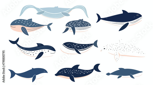 Different whale set. Hand drawn doodle illustration