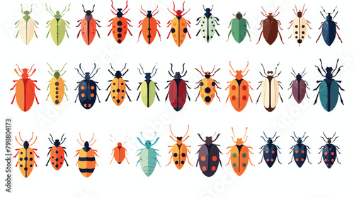 Beetles set. Summer bugs with colorful pattern on w photo