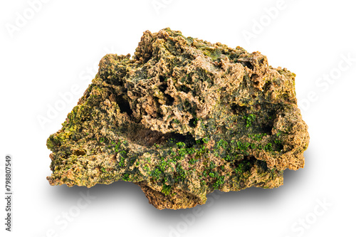 Closeup texture of porous lava rock with green natural plant growing on isolated on white background with clipping path.
