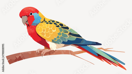 Eastern rosella cute colorful parrot. Exotic tropic photo