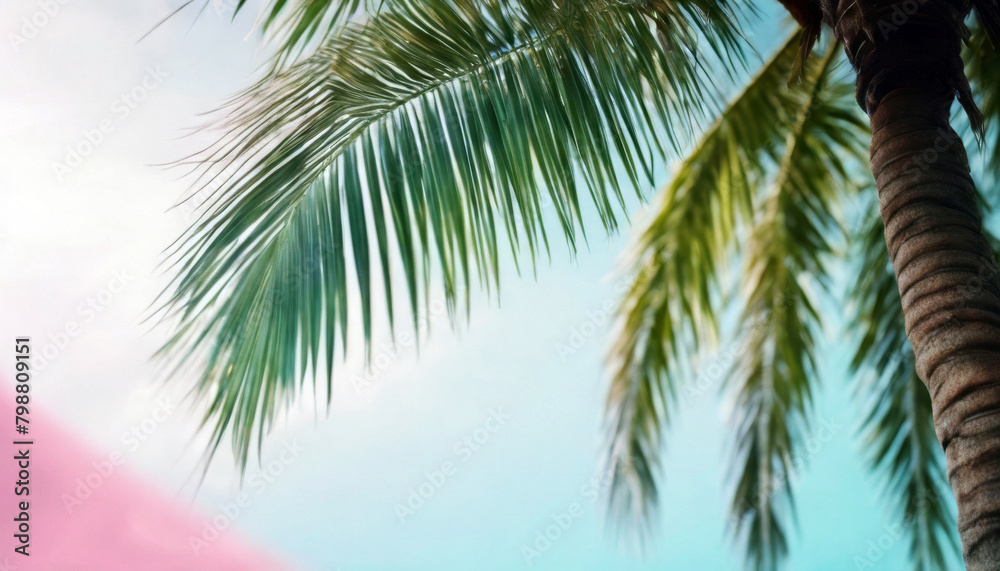 pastel tropical Summer palm background