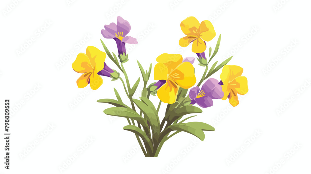 Blooming wallflower. Wild floral plant. Botanical d