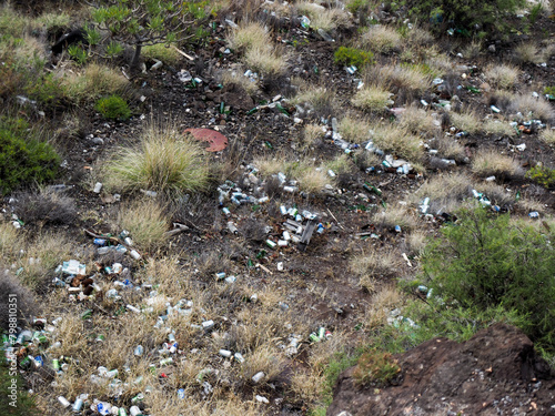 cigarette butts and rubbish bin thrown into nature