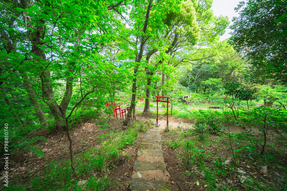 熱海の山の上の神社 熱海の山の上の神社