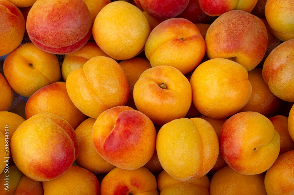 Fresh Apricots for sale at the market. Apricots have many nutrition and healthy benefits. Fruit background and concept