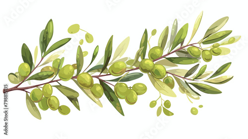 Branch of olive tree with green fruits and leaves.