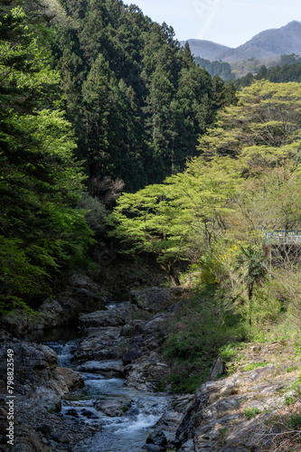 岩の間を流れる群馬県南牧村の蝉の渓谷
