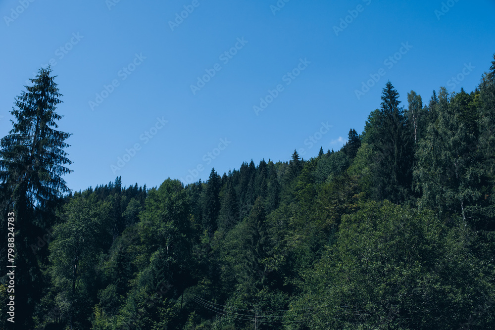 Beautiful sunrise in mountains with white fog below panorama Beautiful sunrise in mountains with white fog below panorama