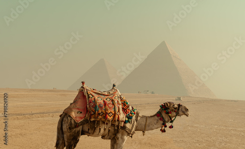 Pyramids of Giza Travel Backgrounds