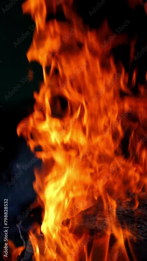 Bonfire burning at night. Burning logs in orange flames. Fire flame Vertical video Bonfire burning at night. Burning logs in orange flames. Fire flame Vertical video