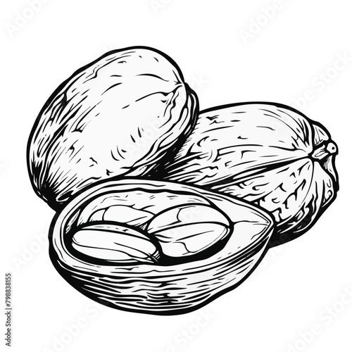  isolated nuts and seeds