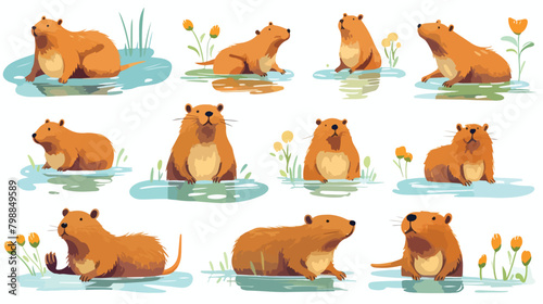 Cute capybaras set. Funny amusing capibara characte