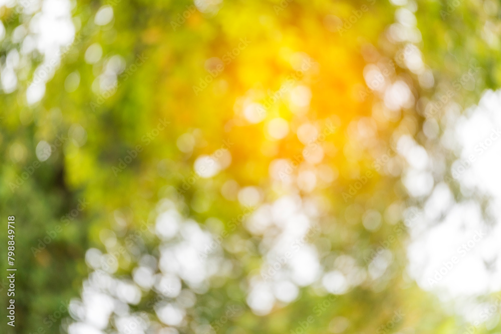Obraz premium Blur background green park garden nature bright sunny forest. Blurry outdoor park in spring time glowing shinny day template with sunlight bokeh. Abstract blurred background banner copy space.