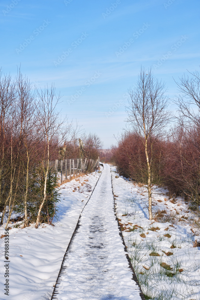 Boardwalk in winter on the Hautes fagnes in Belgium Boardwalk in winter on the Hautes fagnes in Belgium