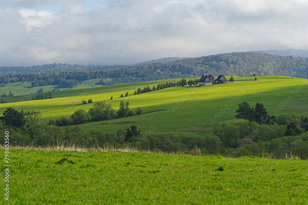 Polish Landscapes in Spring. Green and fresh grass. Polish Landscapes in Spring. Green and fresh grass.