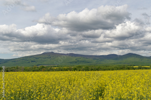 Landscape of Slovakia, Vihorlat mountains in spring. photo