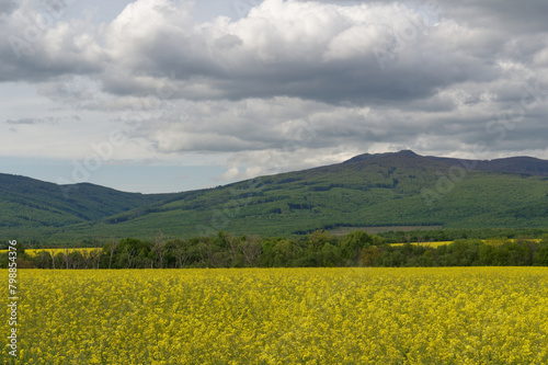 Landscape of Slovakia  Vihorlat mountains in spring.