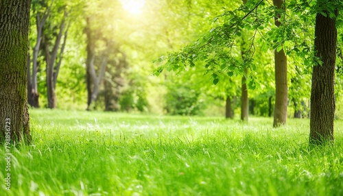 Picturesque photo of a field or meadow Summer Beautiful spring perfect natural landscape background, defocused blurred green trees in forest with wild grass and sun beams