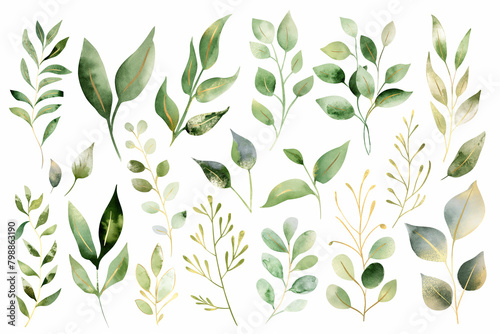 Green watercolor leaves, floral illustration on white background, artistic plant Set. Generative AI