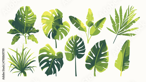 Green leaf set. Exotic tropical foliage plants leav