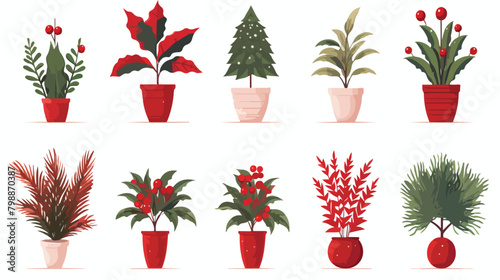 Christmas plants leaf and fir branches Xmas red ber photo