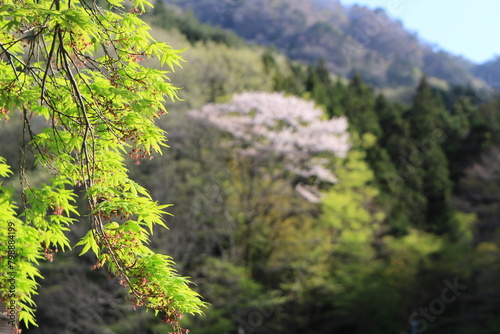 塩原温泉 青紅葉