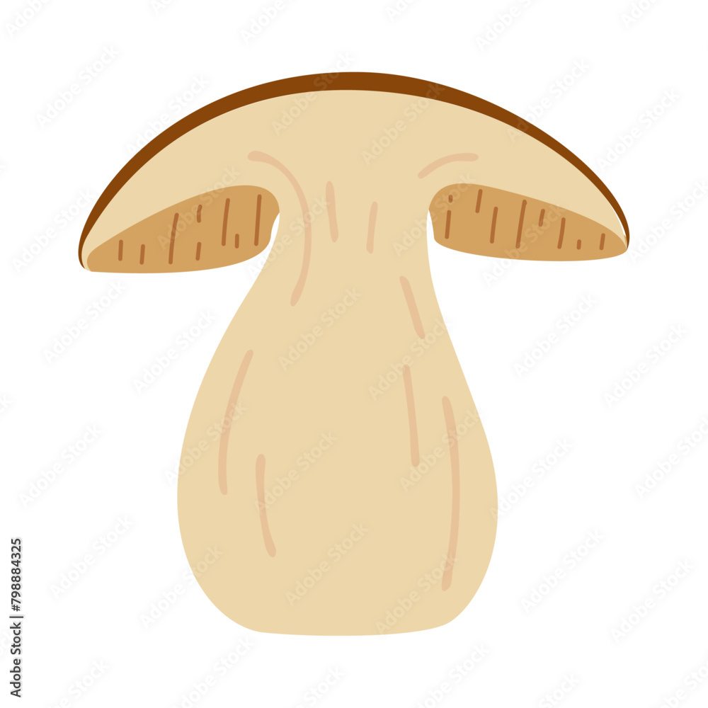 Obraz premium Sliced Porcini forest mushroom. Hand drawn boletus edulis fungus. Porcini fresh edible mushrooms flat style decor element. Cep. King bolete on white background. Penny bun Vector illustration