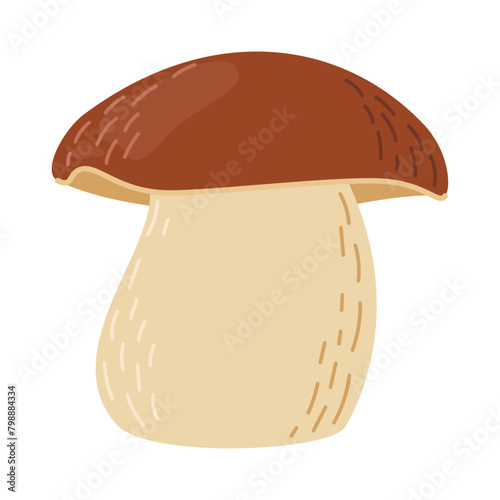 Porcini forest mushroom. Hand drawn boletus edulis fungus. Porcini fresh edible mushrooms flat style decor element. Cep. King bolete on white background. Penny bun Vector illustration