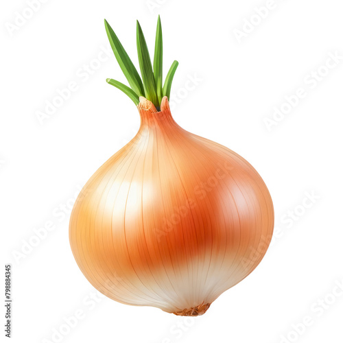 3D Golden Onion with Fresh Sprouts - Organic Vegetable Isolated on White