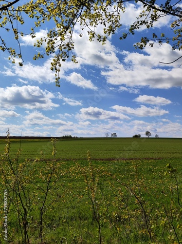 Ausblick vom Feldweg in Frühlingslandschaft mit weißen Wolken am blauen Himmel  