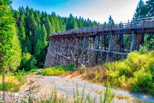 Amazing view of Kinsol Trestle Bridge in Vancouver Island - Canada