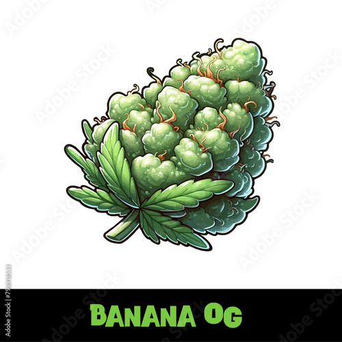 Vector Illustrated Banana OG Cannabis Bud Strain Cartoon (ID: 798918533)
