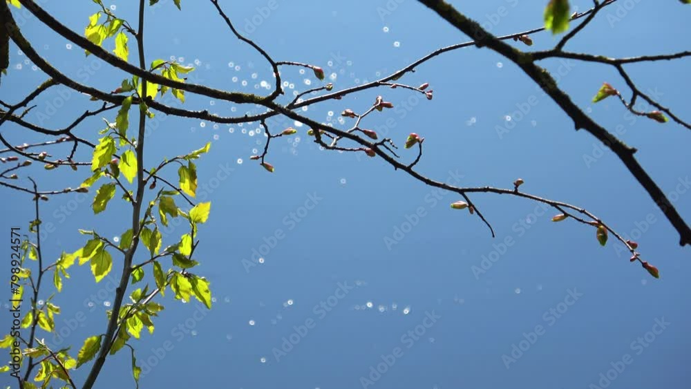 Awakening of nature in spring in a country estate Awakening of nature in spring in a country estate