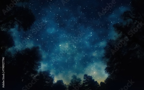 Starry Night Over Forest