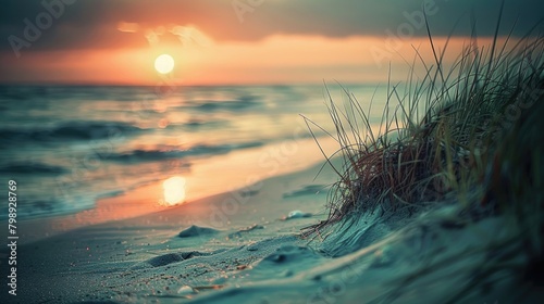 Grass on the beach near the sea. Sunset.