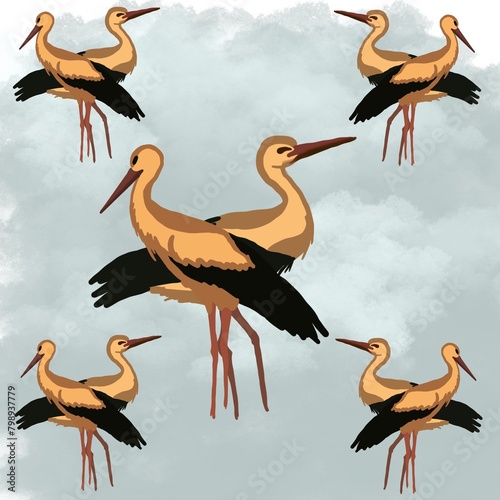 set of birds crane bird, animal, nature, stork, white, wildlife, beak, ibis, feather, birds, pelican, wild, water, florida, feathers, black, animals