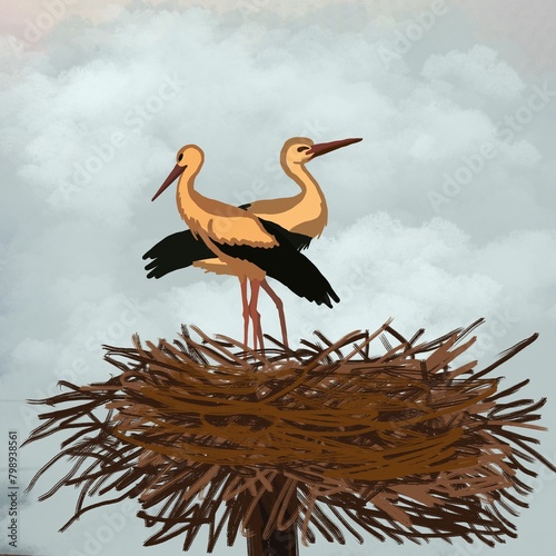 stork in the nest crane