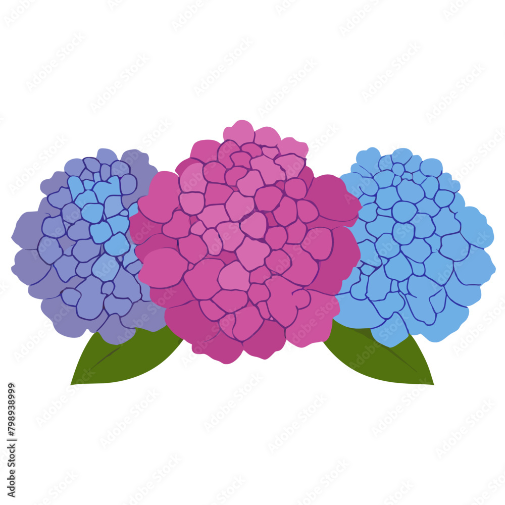hydrangea background art hydrangea background art