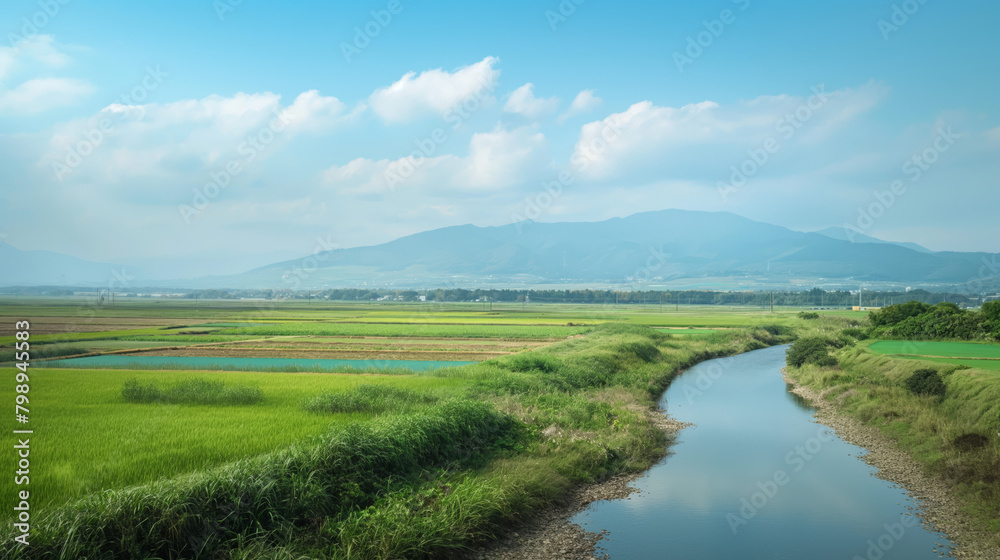 A picturesque landscape of vibrant green rice fields and a gentle water stream with mountains in the distance, depicting rural serenity