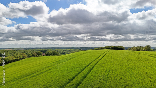 Bl   vert et sillons