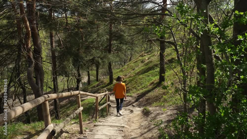 A girl goes down the mountain along wooden steps among large pine trees. A woman tourist travels and goes hiking in the mountains. A girl among a beautiful nature goes from a hill, back view. A girl goes down the mountain along wooden steps among large pine trees. A woman tourist travels and goes hiking in the mountains. A girl among a beautiful nature goes from a hill, back view.