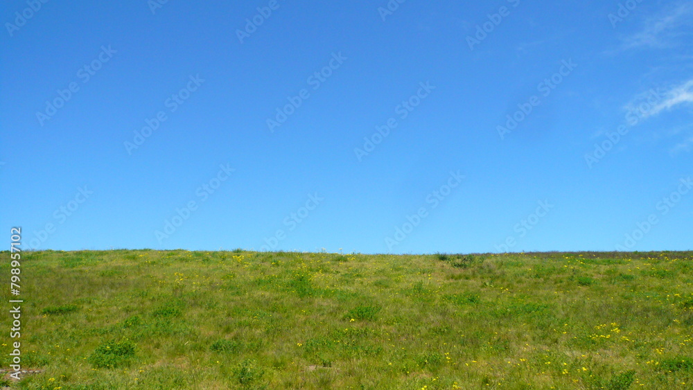 field and blue sky