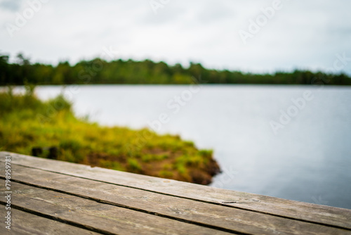 view of the lake in estonia lahemaa national park photo