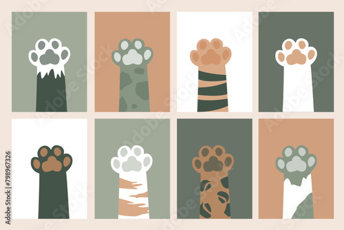 Various cat paws, print leg foot. Help adopt animal pet, donate concept. Set of close up paws, friends forever. Get new friend, horizontal banner.